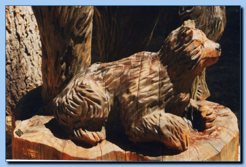 1-47 bears with cub